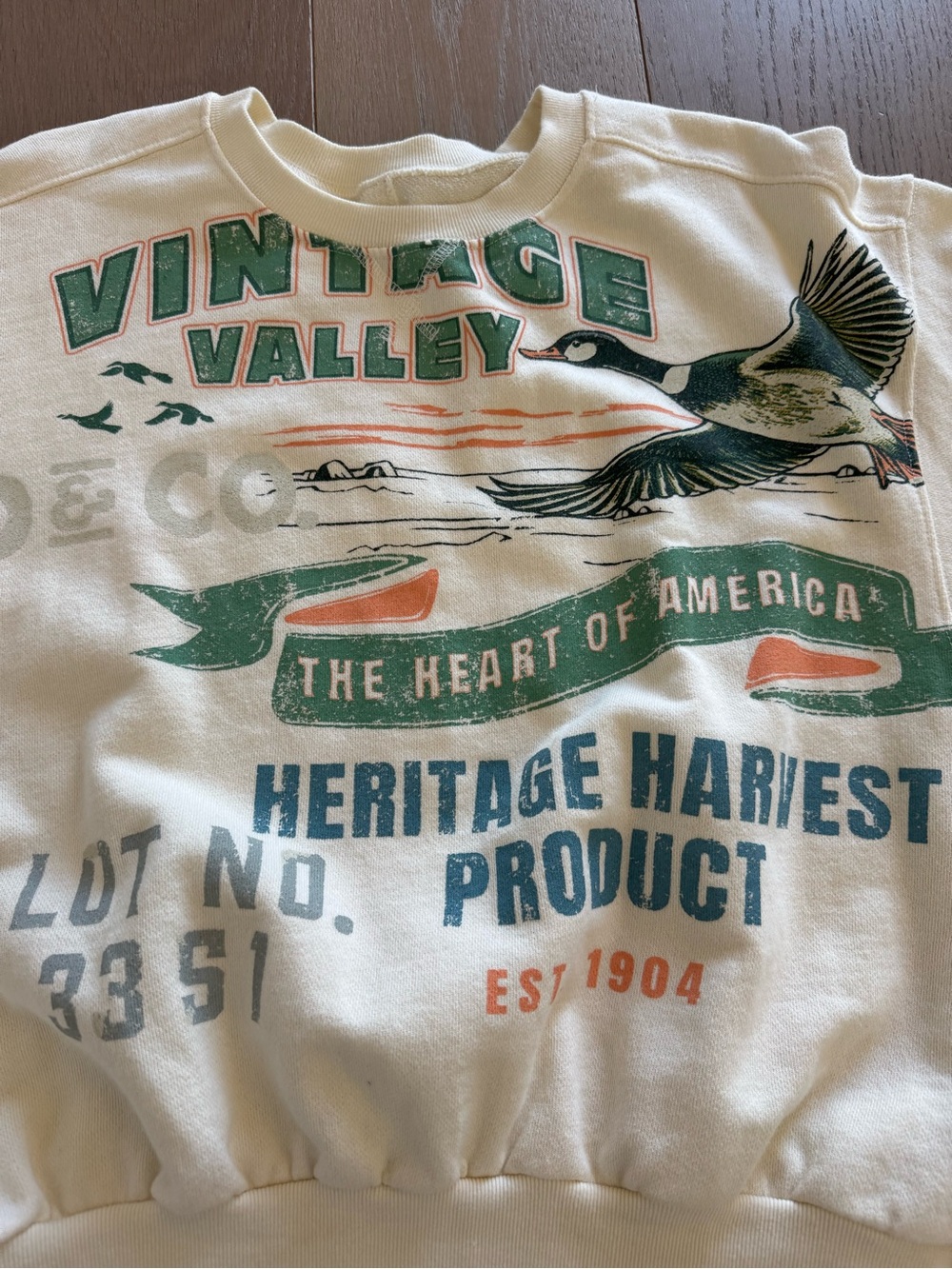 Pilcro Anthropologie Short Sleeve Graphic Sweatshirt Size Medium - Picture 2 of 4